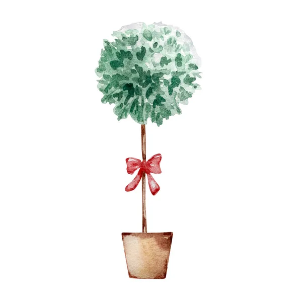 Watercolor Winter Illustration Christmas Tree Pot White Backgroun — Stock Photo, Image