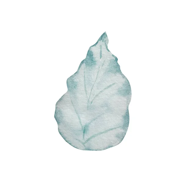 Akvarell Illusztráció Téli Növényzet Kék Levél Elszigetelt Fehér Háttér — Stock Fotó