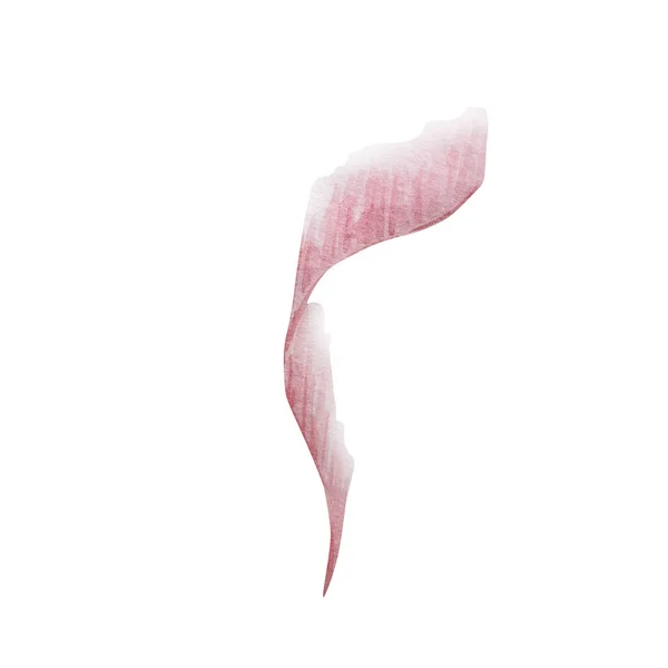 배경에 분리되어 분홍빛 북극광 — 스톡 사진