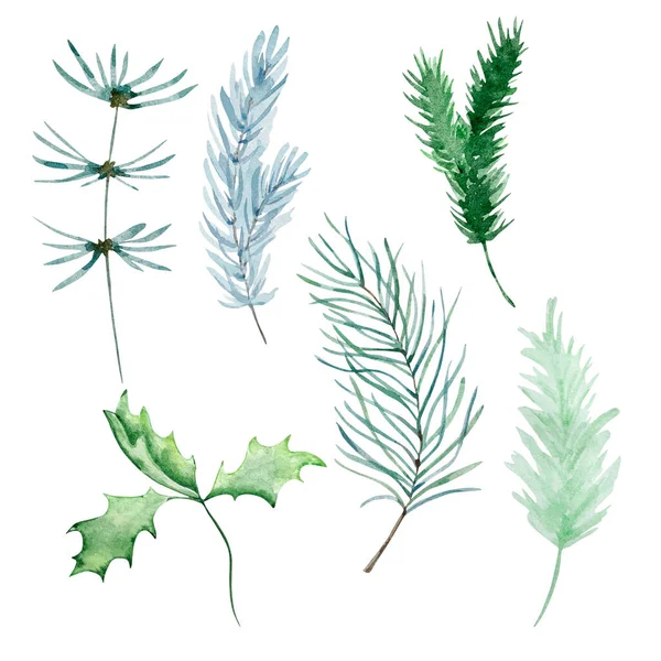 水彩画 モミや松の枝 緑と白の背景に隔離された青 — ストック写真