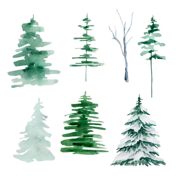 Illustration Hivernale Aquarelle Sapins Pins Arbres Isolés Sur Fond Blanc — Photo