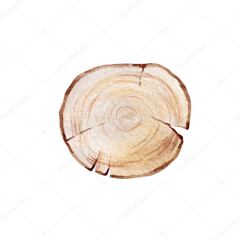 Watercolor winter illustration, wooden round slice on a white background