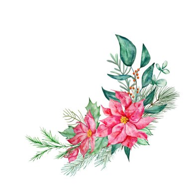 Suluboya Noel çiçekleri. Geleneksel kış bitkilerini süsleyen botanik tasarım kartpostalı