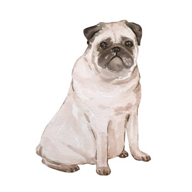 Suluboya illüstrasyon Sevgililer Günü, şirin pug