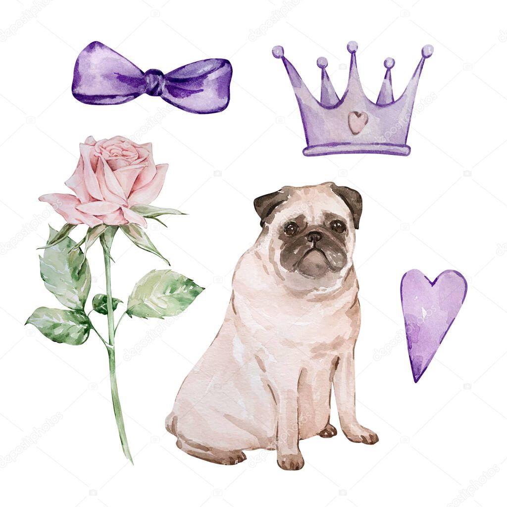 Watercolor illustration set of Valentine's day, pug, rose, crown and bo