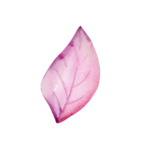 Akvarel Růžový Fialový List Izolovaný Pro Pozvánky — Stock fotografie