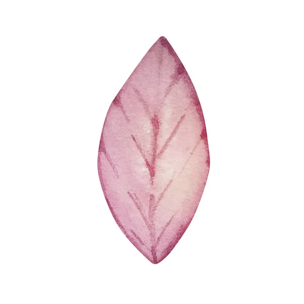 Aquarela Rosa Folha Amarela Isolada Para Desenhos Convite — Fotografia de Stock