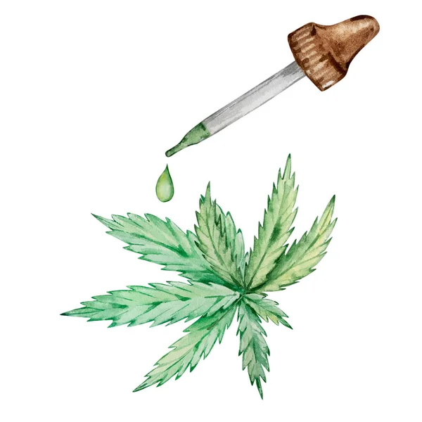 Composição Aquarela Folhas Cannabis Verde Conta Gotas Com Uma Gota — Fotografia de Stock