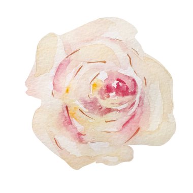 Suluboya bahar çiçekleri nazikçe sarı güller açıyor