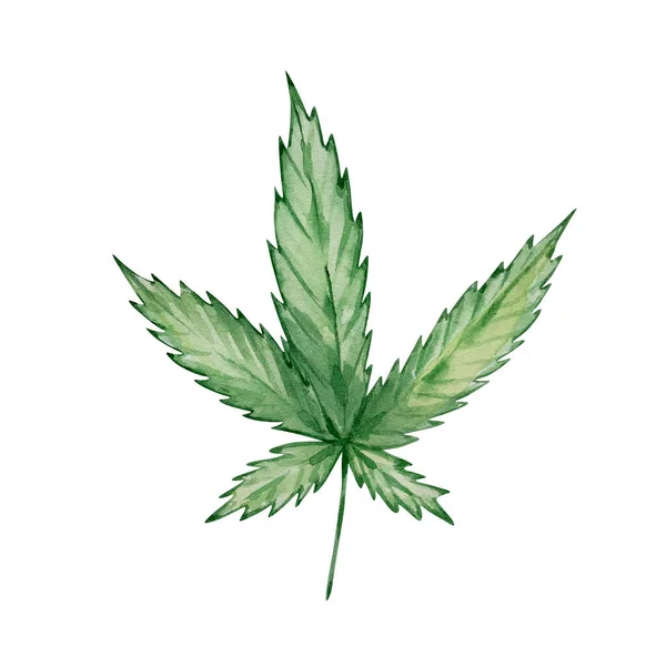 Akvarell Grön Cannabis Blad Isolerade Handritade — Stockfoto