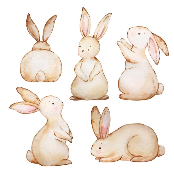 Watercolor Set Cute Brown Easter Bunnie — Stock Photo, Image