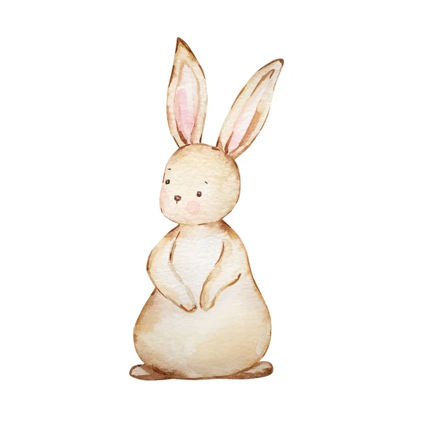 Watercolor Cute Brown Baby Easter Bunn — Stock Photo, Image