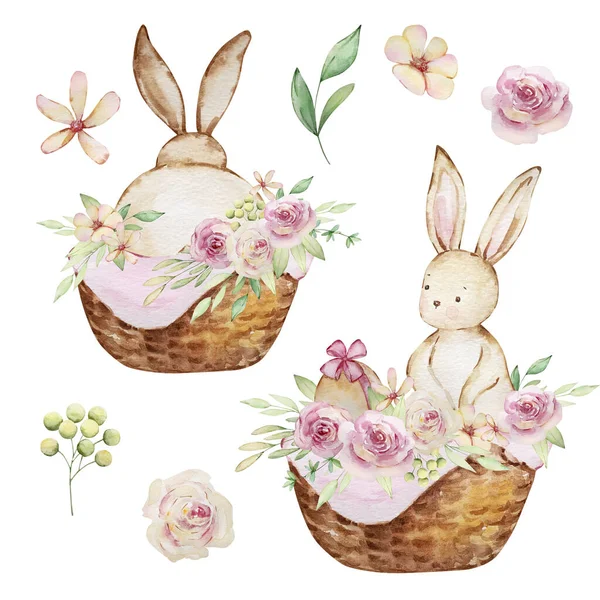 Акварель Весенний Пасхальный Набор Кроликами Корзине Цветов — стоковое фото