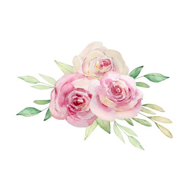 Açık pembe gül ve yapraklardan oluşan bir buket suluboya çizimi