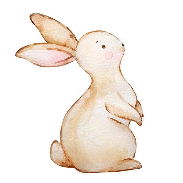 Watercolor Cute Brown Baby Easter Bunn — Stock Photo, Image