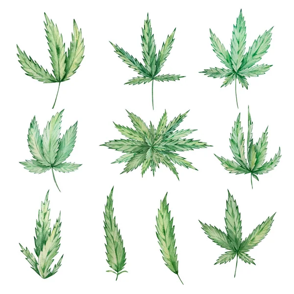 Akvarell Set Grön Cannabis Blad Hand Dras — Stockfoto