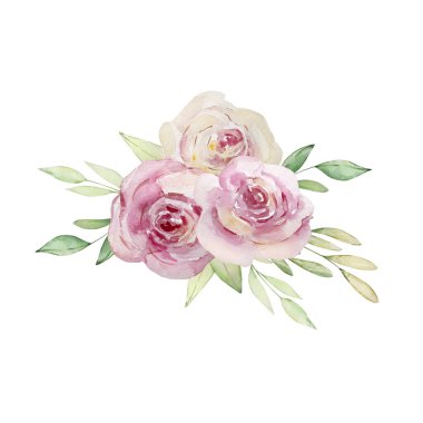Açık pembe gül ve yapraklardan oluşan bir buket suluboya çizimi