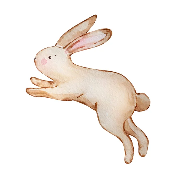 Watercolor Cute Brown Baby Easter Bunn — Stock Photo, Image