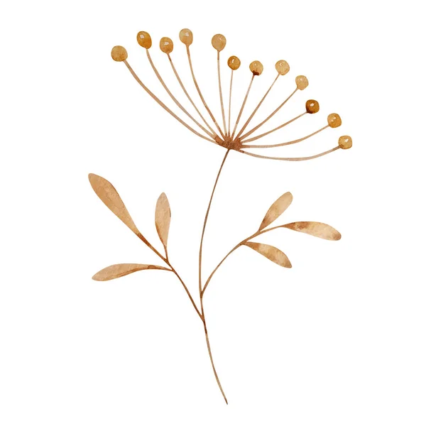 Akvarel Béžová Větev Květinou Nechat — Stock fotografie