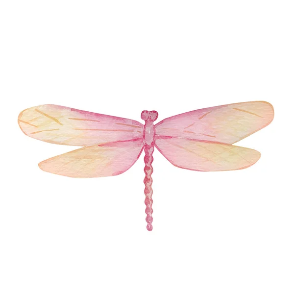 Watercolor Delicate Dragonfly Pink Yellow — Stock Photo, Image