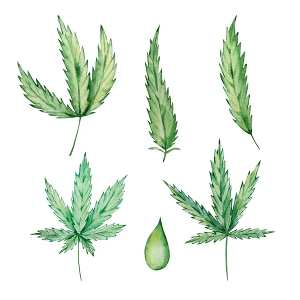Aquarel Set Groene Cannabis Bladeren Met Hand Getekend — Stockfoto