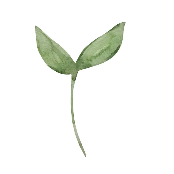 Akvarelu Větev Zelenými Listy — Stock fotografie