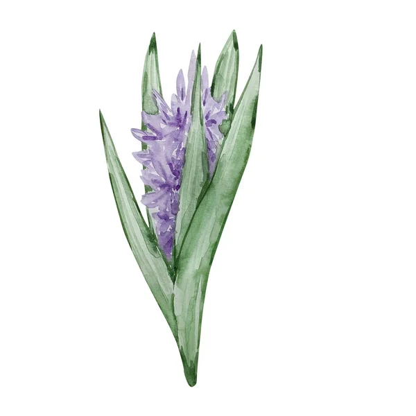 Watercolor Garden Purple Flower Leave — Zdjęcie stockowe