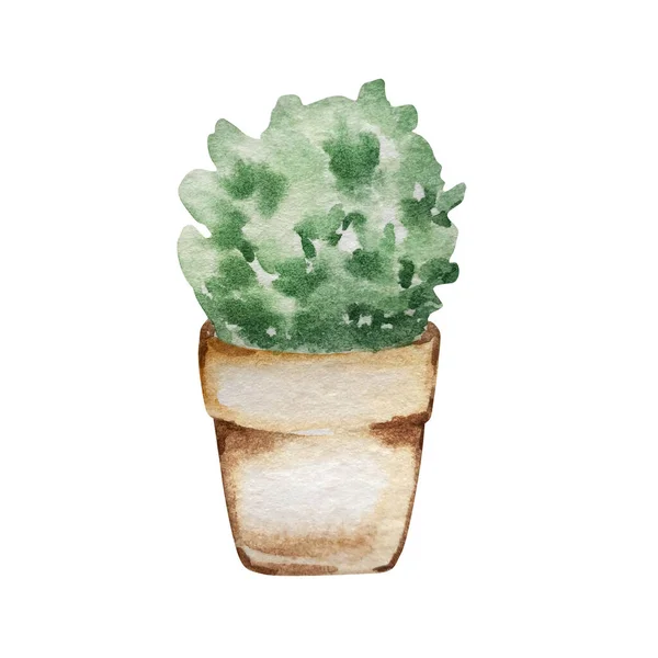 Watercolor Brown Clay Pot Plant — Stock Fotó