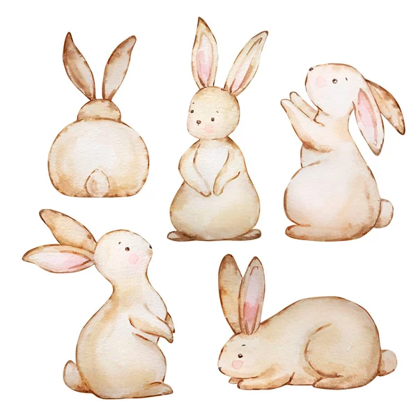 水彩画一套可爱的褐色复活节兔子 — 图库照片