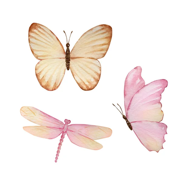 Aquarell Set Aus Niedlichen Insekten Schmetterlingen Und Libellen — Stockfoto