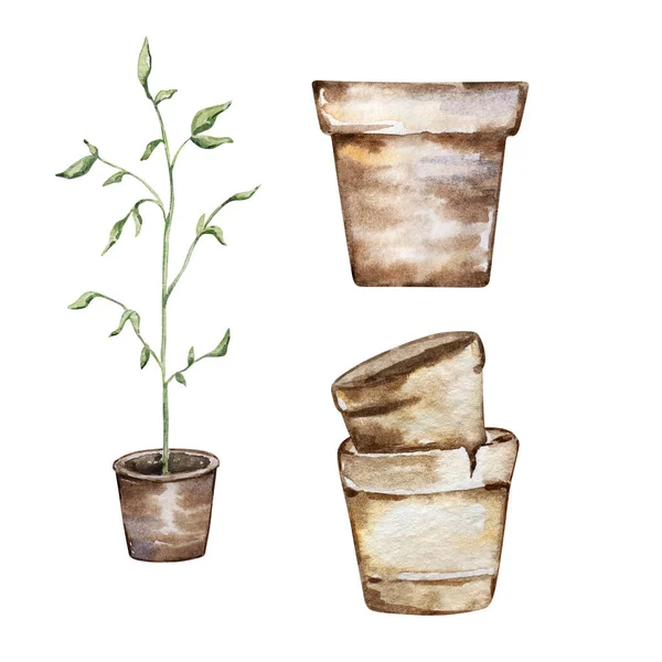 Watercolor Set Garden Plant Pot Clay Pots — Stock fotografie