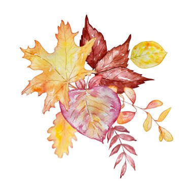 Suluboya buketi, botanik illüstrasyon, sonbahar kompozisyonu, parlak sonbahar yaprakları ve beyaz bir sırtüstü böğürtlen