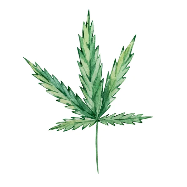 Watercolor Green Cannabis Leaves Isolated Hand Drawn — Stock Photo, Image