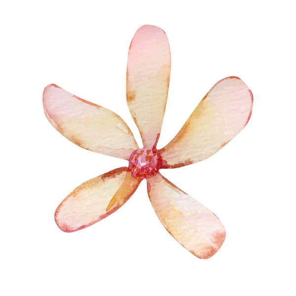 Aquarell Zarte Frühlingsblume Gelb Mit Stecknadel — Stockfoto