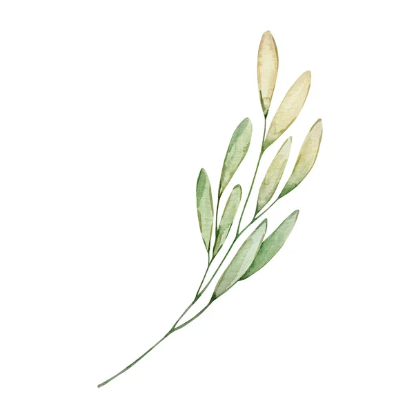 Watercolor Spring Branch Green Leave — Stock Photo, Image