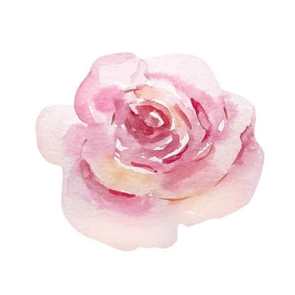 Akwarela Wiosna Kwitnący Kwiat Delikatnie Różowa Róża — Zdjęcie stockowe