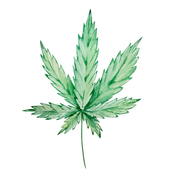 Aquarel Groene Cannabisbladeren Geïsoleerd Met Hand Getekend — Stockfoto