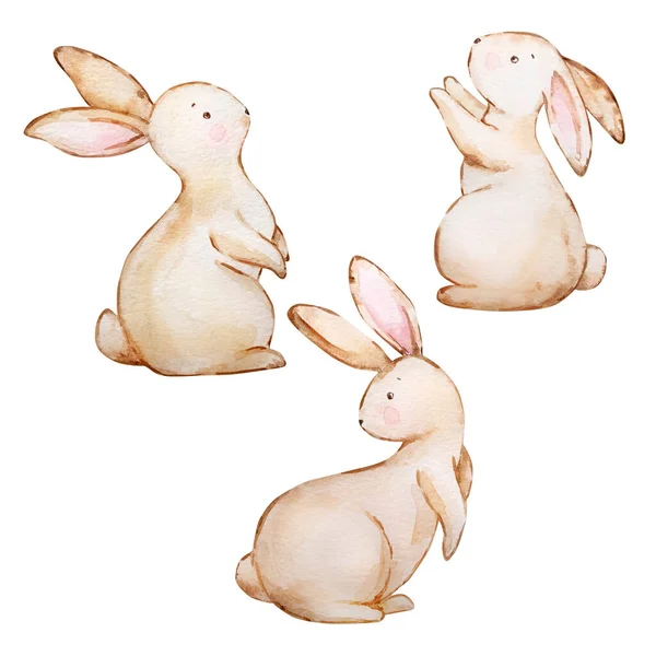 水彩画一套可爱的褐色复活节兔子 — 图库照片