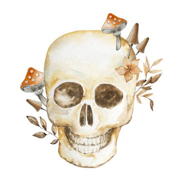 Cadılar Bayramı suluboya çizimi. Beyaz arka planda izole edilmiş el yapımı şenlik kompozisyonu. Kafatasında sineklik ve mantarlar var.