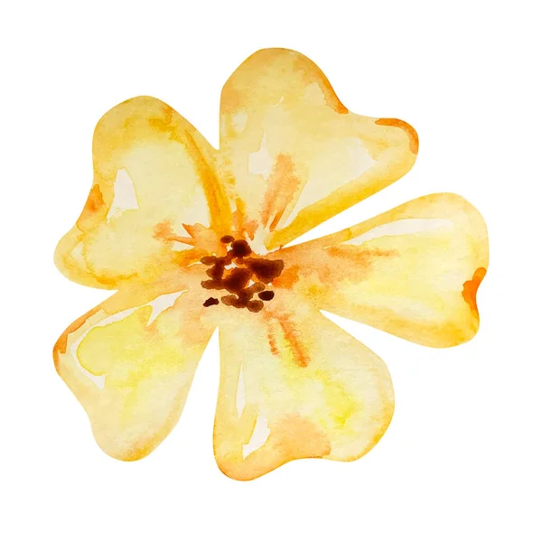 Acuarela Ilustración Floración Flor Amarilla — Foto de Stock