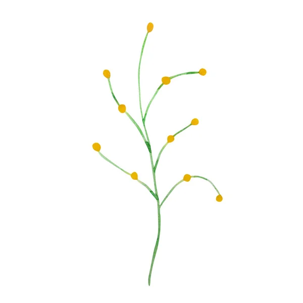 Watercolor Branch Yellow Berries — Stock Photo, Image