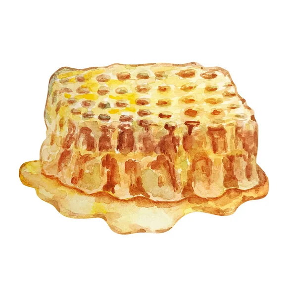 Watercolor Illustration Yellow Honeycomb Honey — Stock Photo, Image