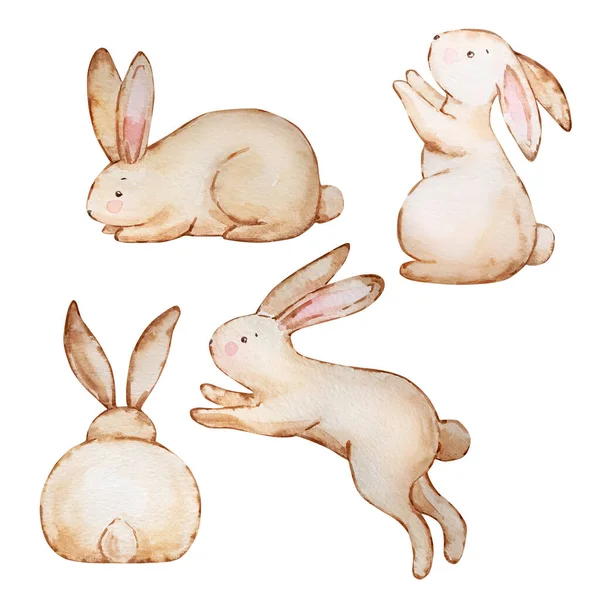 Akvarel Sada Roztomilé Hnědé Velikonoční Zajíček — Stock fotografie