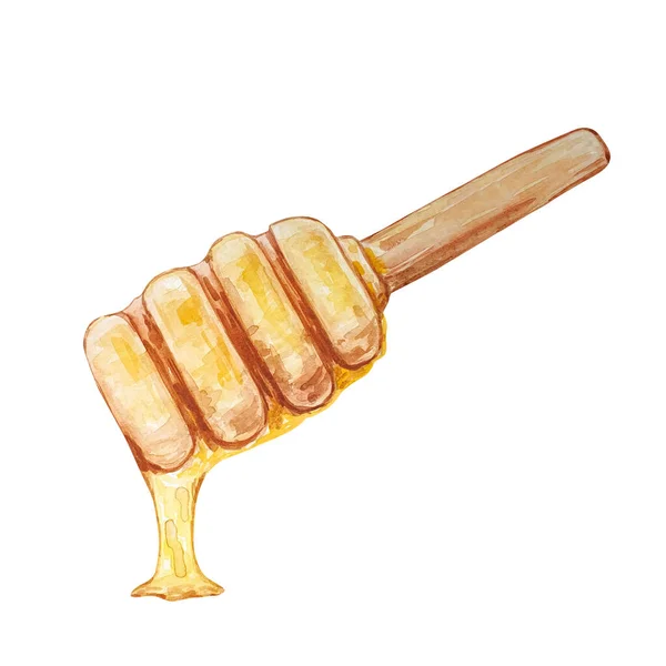 Waterverfhoningstokje Met Druipende Honing — Stockfoto