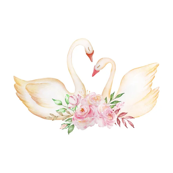 Two Watercolor Tender White Swans Bouquet Roses — Foto de Stock