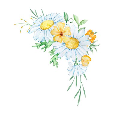 Bir buket suluboya papatya çayı ve davetiye tasarımı için sarı kır çiçekleri.