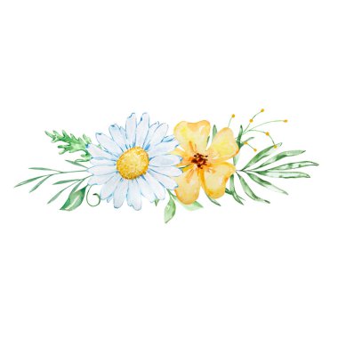 Bir buket suluboya papatya çayı ve davetiye tasarımı için sarı kır çiçekleri.