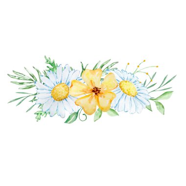 Bir buket suluboya papatya çayı ve davetiye tasarımı için sarı kır çiçekleri.