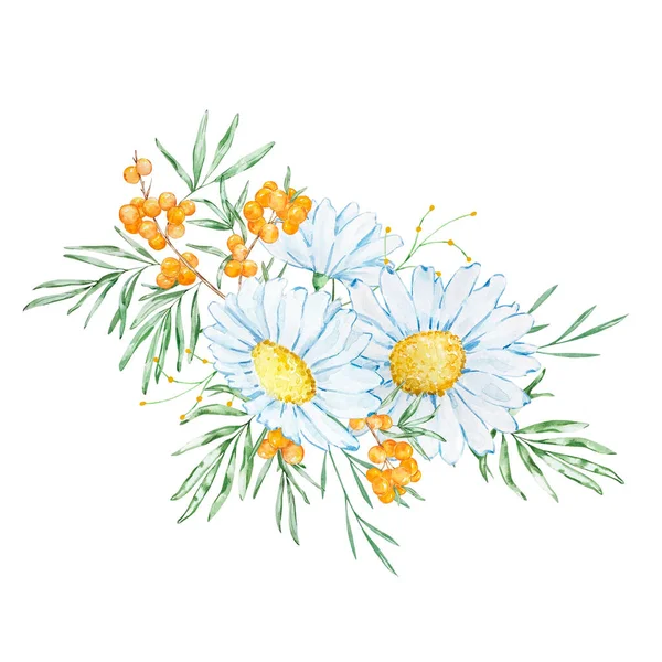 Bouquet Watercolor Chamomile Sea Buckthorn Branches Invitation Design — Stockfoto