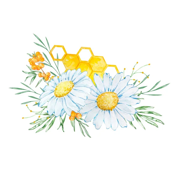 Bouquet Watercolor Chamomile Honeycombs Invitation Design —  Fotos de Stock
